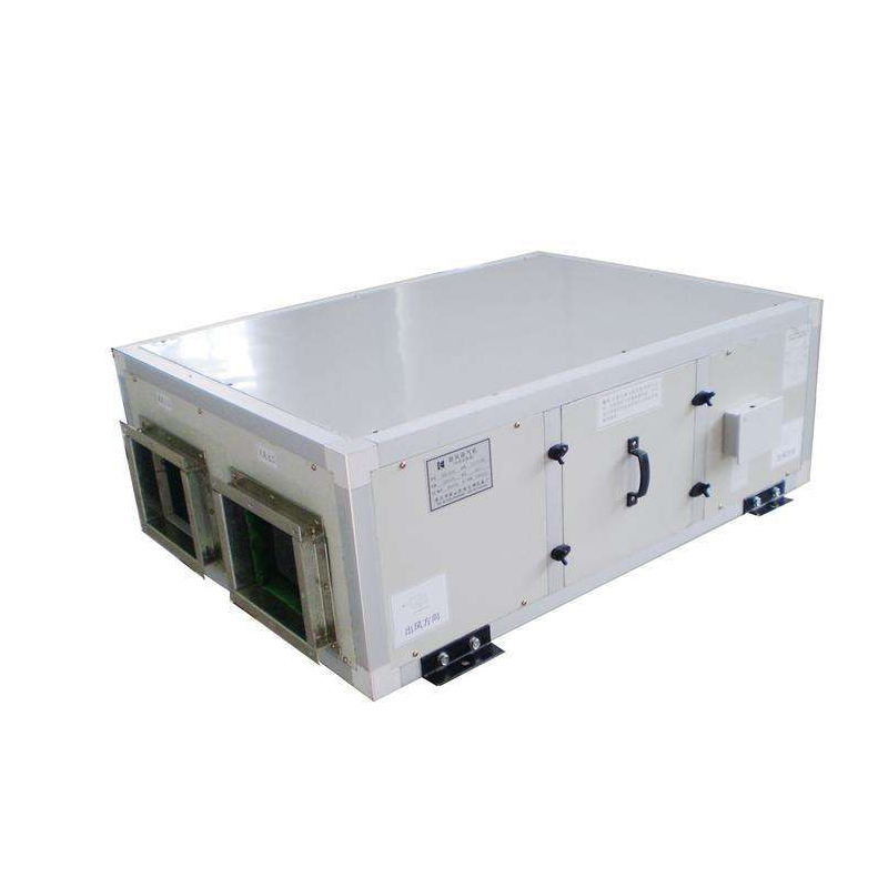 XH-250D吊頂新風(fēng)換氣機